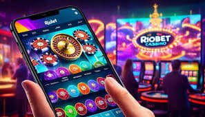 317 bet app